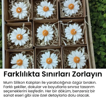 Papatya Silikon Kalip 3 Papatya Silikon Kalıp