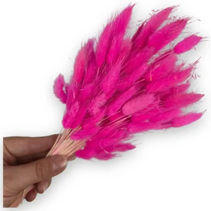 Pembe Tavşan Kuyruğu Otu | Kuru Çiçek | 1 Demet