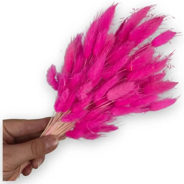 Pembe Tavşan Kuyruğu Otu | Kuru Çiçek | 1 Demet