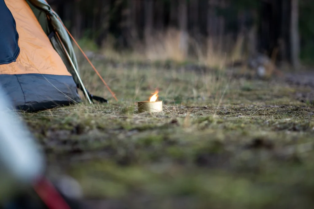 sinek kovucu mum nedir Sinek Kovucu Mum Nasıl Yapılır?