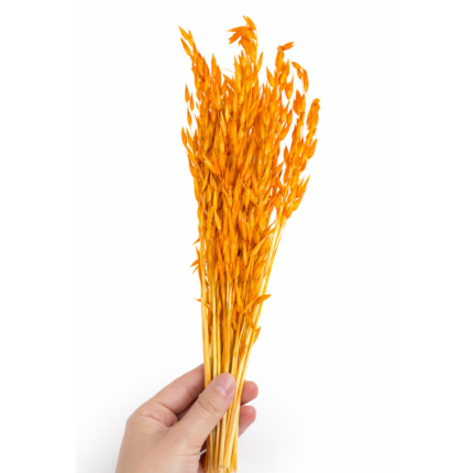 Alze Kimya - Mum Malzemeleri Hobi Marketiniz 104 Turuncu Avena Otu | Kurutulmuş Yulaf Otu | Kuru Bitki | 1 Demet